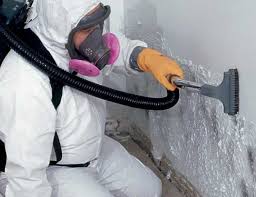 Best Basement Mold Removal  in Whitehorn Cove, OK